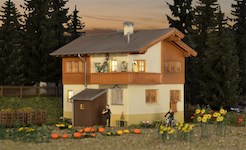 Viessmann  " " 48815